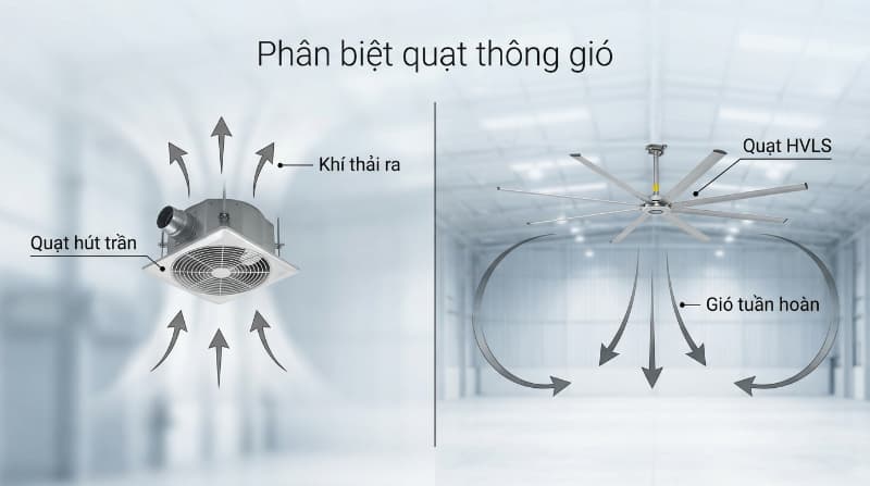 Mô hình trực quan giúp phân biệt tính năng hút khí tù của quạt âm trần và khả năng đảo gió làm mát diện rộng của dòng quạt trần HVLS.