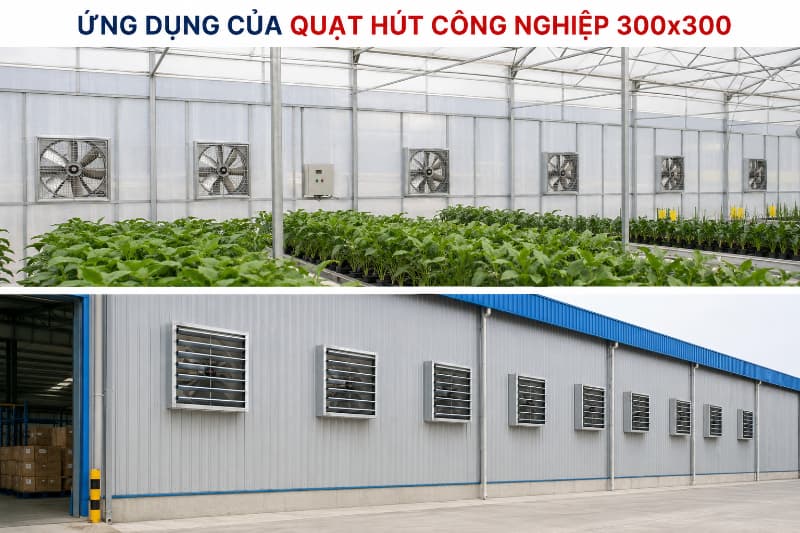 Quạt hút công nghiệp 300x300 4 Quạt hút công nghiệp 300x300 phù hợp thông gió nhà xưởng nhỏ, nhà kính và khu vực chăn nuôi.