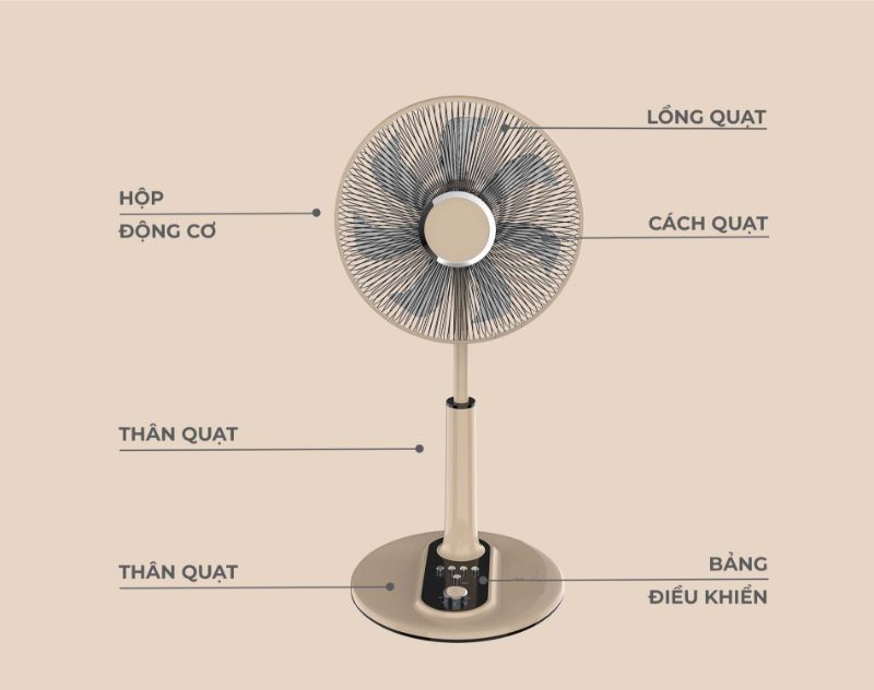 Các bộ phận bên ngoài