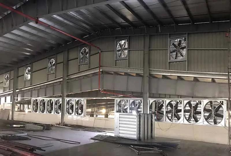 Quạt hút công nghiệp 1200x1200 được lắp dọc nhà xưởng để tăng lưu thông và thoát khí nóng