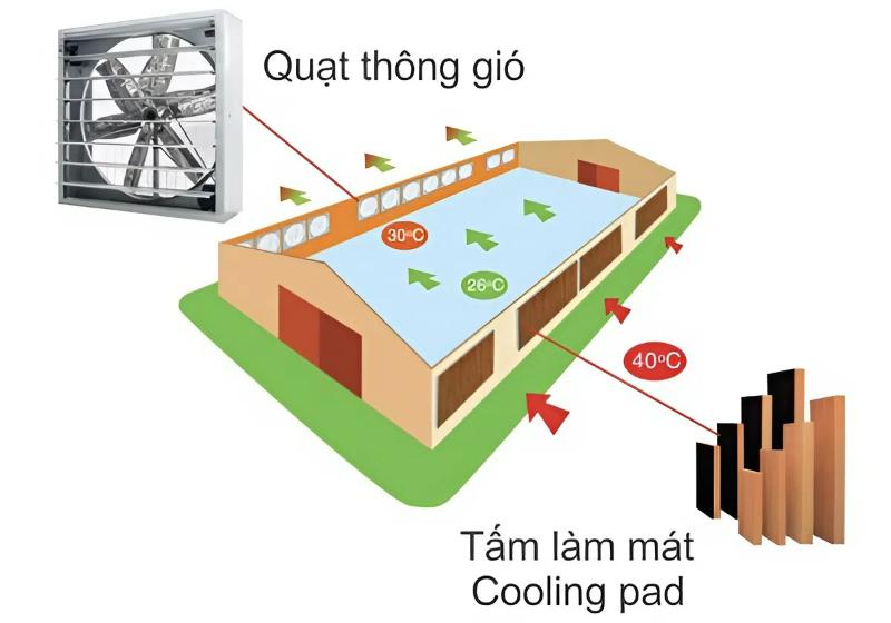 Hệ thống làm mát công nghiệp: Giải pháp tối ưu cho mọi nhà xưởng 3 Hệ thống làm mát áp suất âm