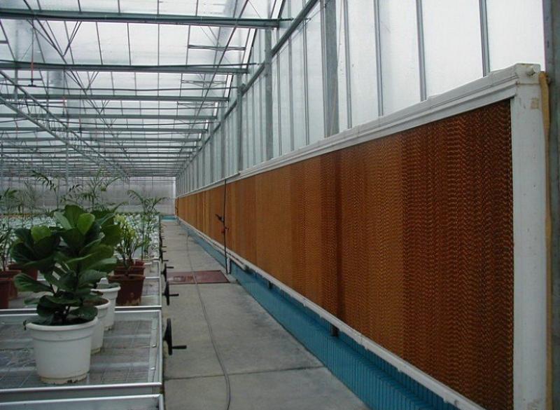 Hệ thống làm mát cooling pad 4 Ứng dụng hệ thống làm mát cooling pad hiệu quả trong mô hình nhà kính và trang trại nông nghiệp.