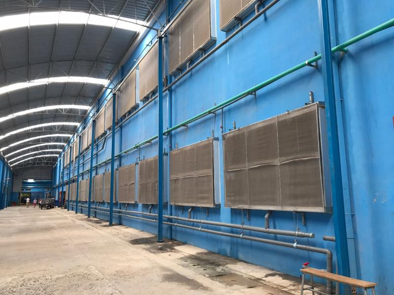 Hệ thống làm mát cooling pad 5 Bố trí hệ thống tấm làm mát diện rộng giúp cấp khí tươi liên tục và giảm oi nóng cho toàn xưởng.