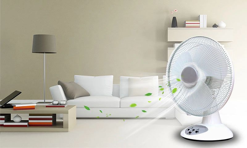 Lưu thông và tuần hoàn không khí
