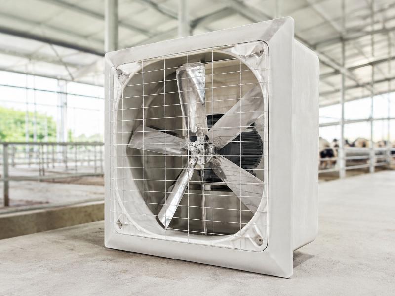 Quạt hút công nghiệp 1 pha composite cỡ lớn giúp thông gió hiệu quả cho trang trại và nhà xưởng