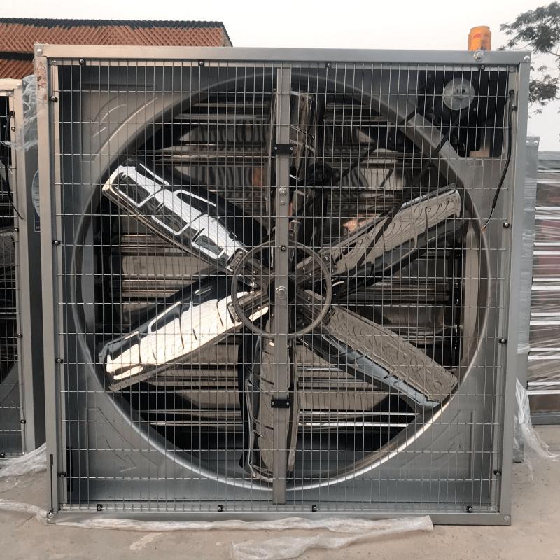 Quạt hút công nghiệp gắn tường cỡ lớn có lưới chắn an toàn, hỗ trợ thông gió mạnh cho khu sản xuất