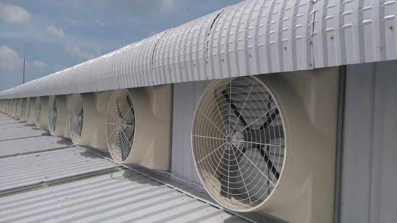 Quạt hút công nghiệp gắn tường lắp dọc mái xưởng, hỗ trợ hút khí nóng và làm mát không gian sản xuất