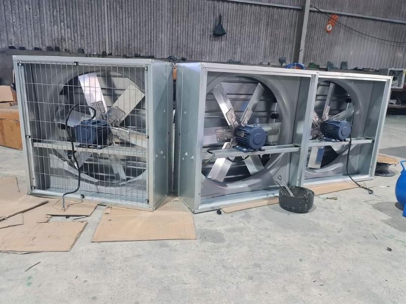 Quạt hút công nghiệp Hà Tĩnh giá tốt, lắp tận nơi 8 Quạt hút công nghiệp hà tĩnh kết hợp thông gió giúp chuồng trại luôn thoáng khí