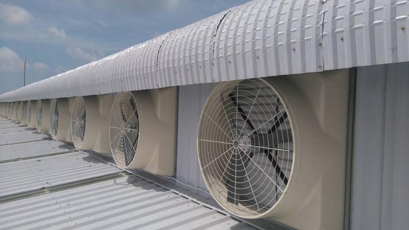 Hệ thống quạt hút công nghiệp bố trí dọc nhà xưởng giúp tăng khả năng trao đổi không khí