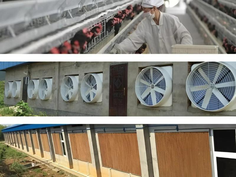 Quạt hút công nghiệp Hà Tĩnh giá tốt, lắp tận nơi 6 Ứng dụng quạt hút công nghiệp hà tĩnh trong nhà xưởng, kho hàng, trang trại và nhà kính