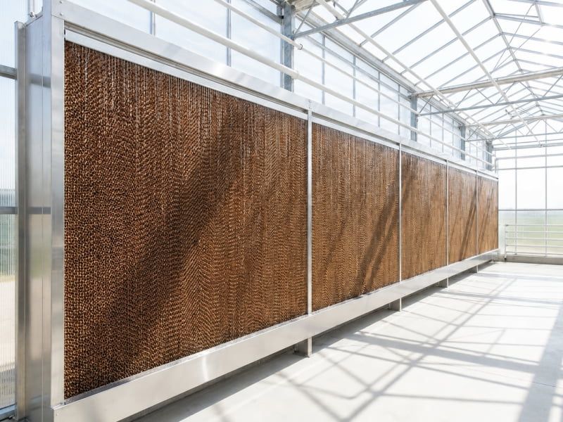 Hệ thống cooling pad sạch và nguồn nước chuẩn giúp duy trì hiệu suất, ngăn rêu mốc.