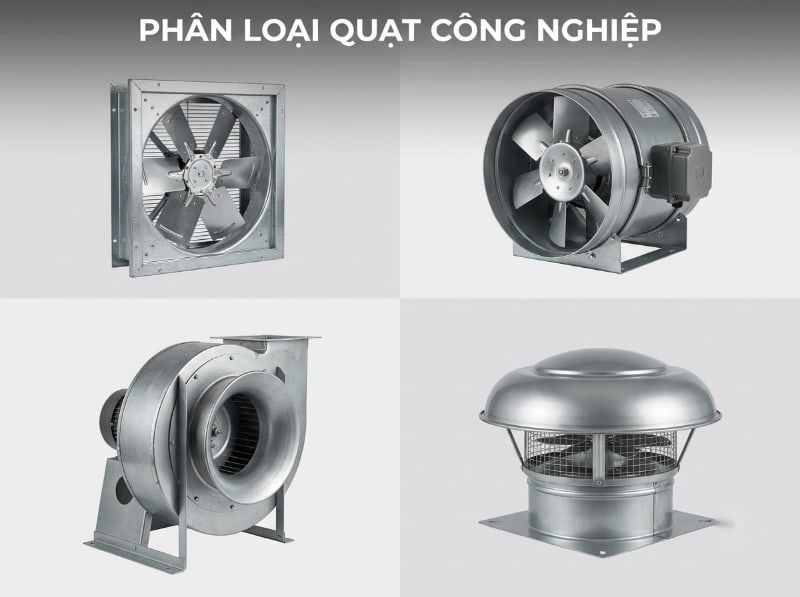 Kích thước quạt hút công nghiệp chuẩn và cách chọn 2026 4 Hình ảnh phân loại các dòng quạt hút công nghiệp phổ biến trên thị trường.