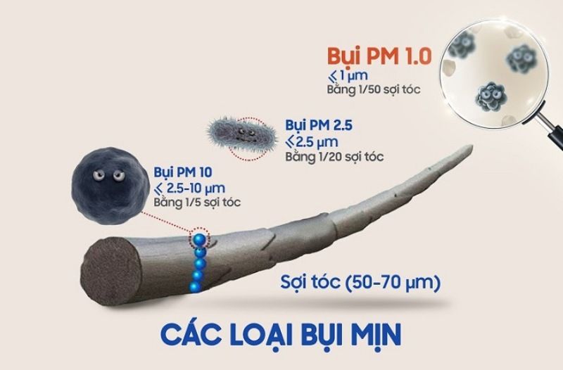 7 Loại bụi trong không khí theo kích thước và nguồn gốc 2 Phân loại các loại bụi trong không khí theo kích thước