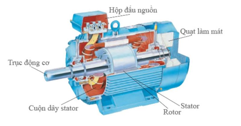 Motor (Mô tơ) là gì? Cấu tạo, nguyên lý, phân loại và ứng dụng 2 Cấu tạo chi tiết của Motor điện