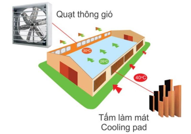 Hệ thống làm mát áp suất âm