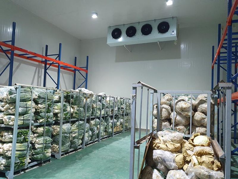 Hệ thống kho lạnh nguyên khối
