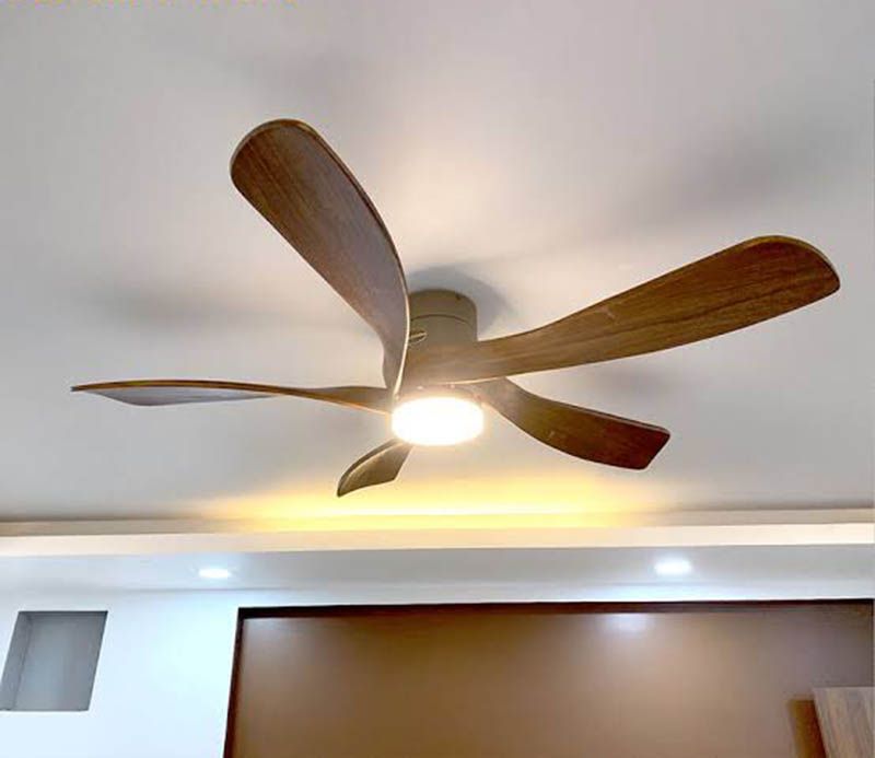 Quạt trần cánh gỗ vận hành bền bỉ, tạo luồng gió êm, dịu